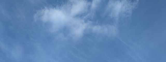 ハルさんの壁紙画像