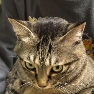 みつさんのアイコン画像