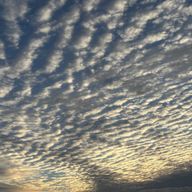 ソラ 🌙さんのアイコン画像