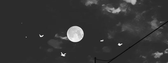 朝日うゆ@🍑🐿さんの壁紙画像