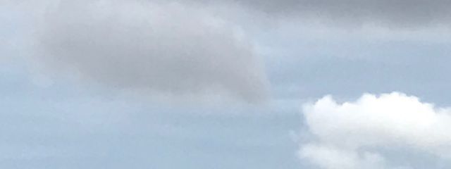 白桜永愛（しろざくら　とあ）さんの壁紙画像