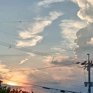 仁様さんのアイコン画像