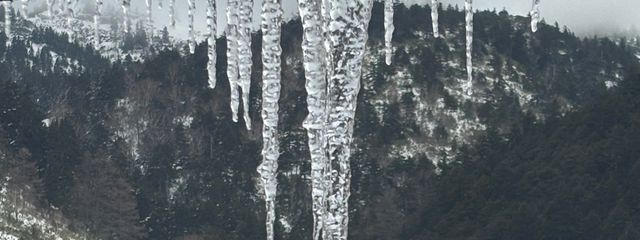 ◈ 輝 宝 ! # 元 ぴちゃんさんの壁紙画像