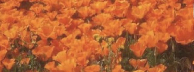 　#STOWN　さんの壁紙画像