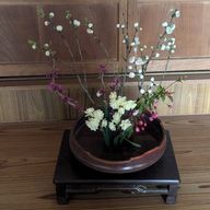 冬弥 超低浮上さんのアイコン画像