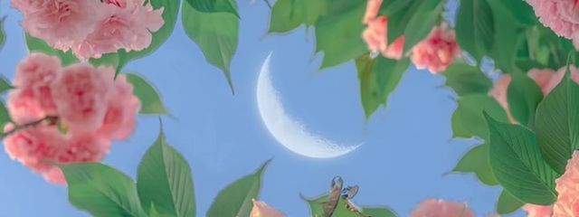多華宮  月さんの壁紙画像