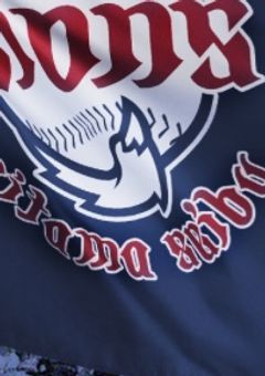 若獅子との生活