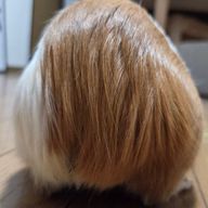 舜さんのアイコン画像