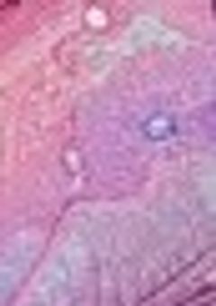 総お気に入り数100超えた〜！！！