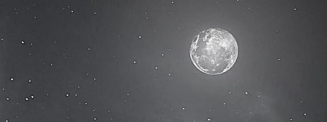 ルルリム#引退。さんの壁紙画像