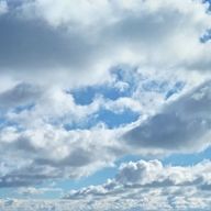 百合さんのアイコン画像