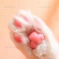 ミラさんのアイコン画像