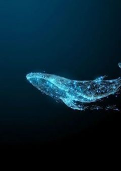 自己紹介＋アンケート