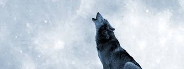 ららさんの壁紙画像