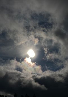 僕の人格について