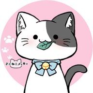 ねこ〜ねこ〜・ω・さんのアイコン画像
