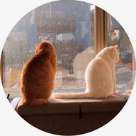 近藤みずきさんのアイコン画像