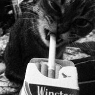 　　　KEDさんのアイコン画像