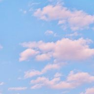 彌生　フォロバ100さんのアイコン画像