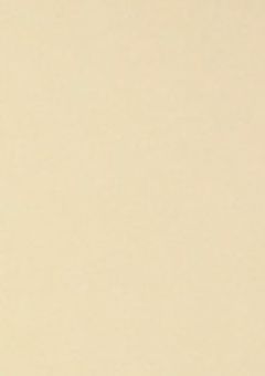 記憶喪失の私と糸師凛の物語　