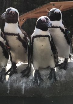 関係者募集中.ᐟ‪‪‪.ᐟ‪‪‪気軽に来て.ᐟ‪‪‪.ᐟ‪‪‪