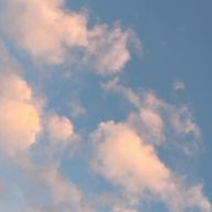 輪廻転生ちゃんさんのアイコン画像