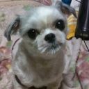 霜月彩音
