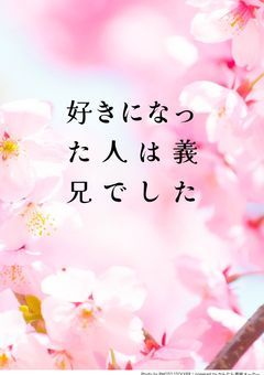 【njsj】好きになった人は義兄でした【lrn】