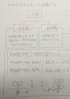 ꒰　🤍⋆*͛ ノートまとめ 晒す .ᐟ.ᐟ　‪꒱‬