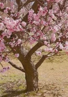 𝓣𝓪𝓵𝓴 𝓪𝓫𝓸𝓾𝓽 𝔀𝓱𝓪𝓽 𝔂𝓸𝓾 𝓵𝓲𝓴𝓮