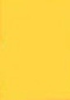 TS / vlt   |  有能執事,メイドになりました　.