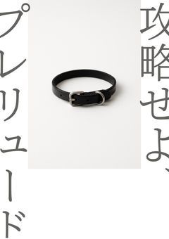 攻略せよ、プレリュード