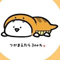 霄の狐猫《》@月のもとでまた明日さんのアイコン画像