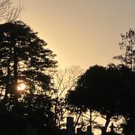 しおノかぜさんのアイコン画像