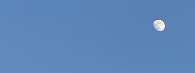 にゃんすさんの壁紙画像