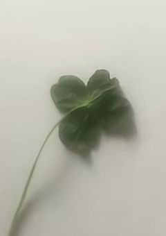 I live in a shared house with BULLET TRAIN.