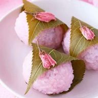 桜餅(更新停止中)さんのアイコン画像