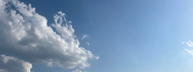 くろ さんの壁紙画像