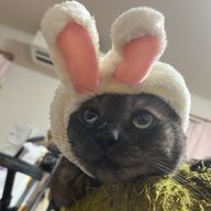 あんや 読専さんのアイコン画像