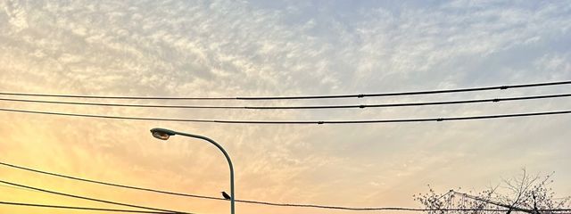 夢さんの壁紙画像