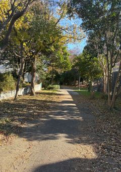 オプチャ配布☆