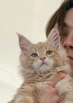 短 編
