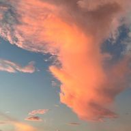 ぴーなっつばなな💫さんのアイコン画像