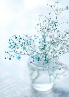 　　𝕊𝕖𝕔𝕣𝕖𝕥 𝕊𝕙𝕒𝕣𝕖 ℍ𝕠𝕦𝕤𝕖