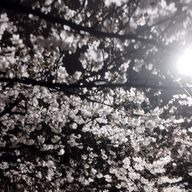 一般人さんのアイコン画像