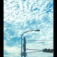 yoruさんのアイコン画像