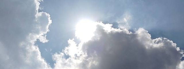 モギモギフルーツグミさんの壁紙画像