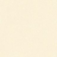 みりんさんのアイコン画像