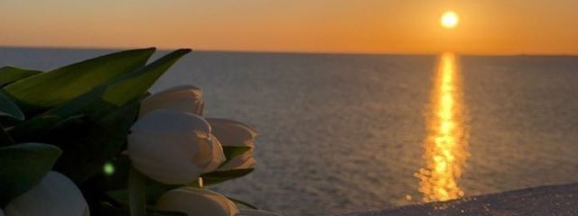 　　　　　美翠さんの壁紙画像