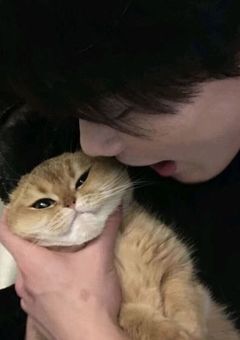 　#　逸材セッター . 《🏐》 